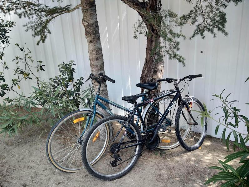 Maison Jardin Wifi - Climatisation - 100 M Plage Sauvage - 20 Min Perpignan Torreilles Esterno foto